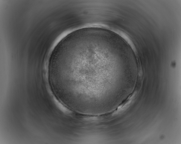 X0000102011054200807251304