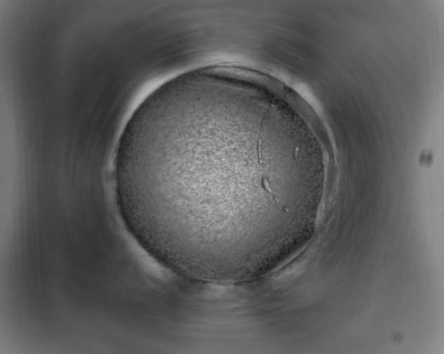 X0000102011056200807251304