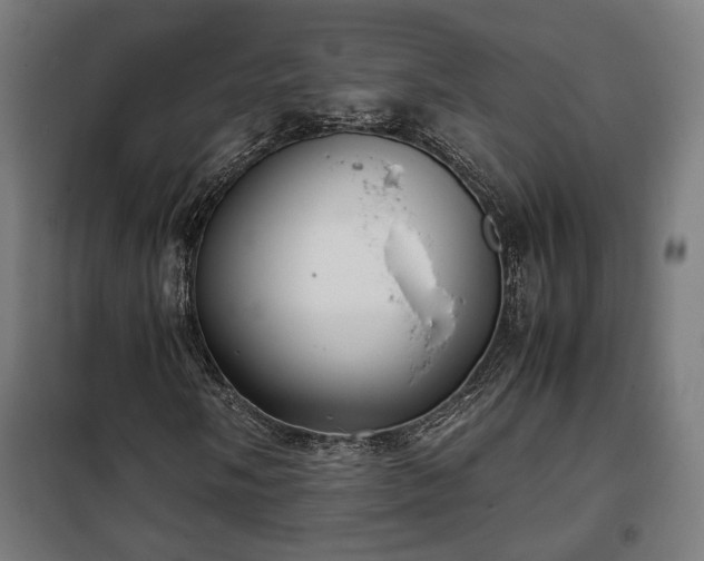 X0000102011058200807251303