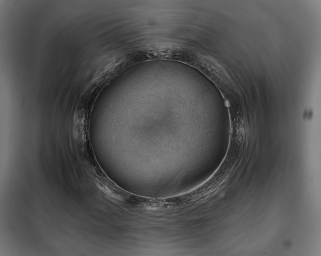 X0000102011060200807251303
