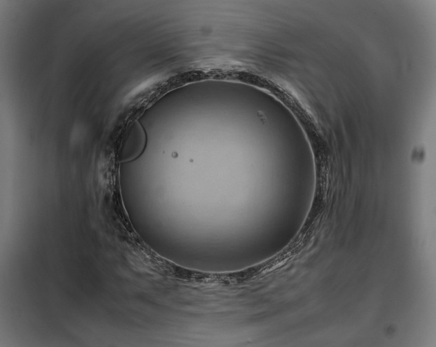 X0000102011063200807251303