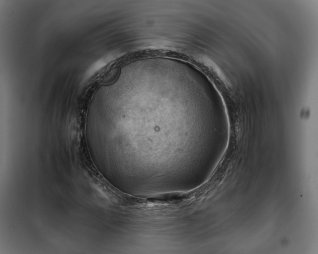 X0000102011064200807251303