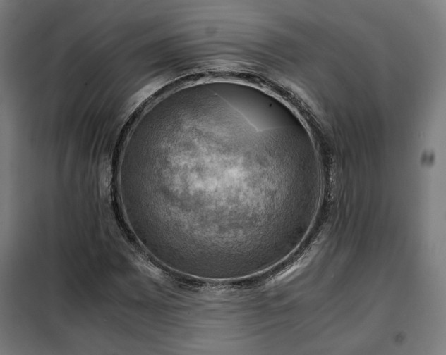 X0000102011065200807251303