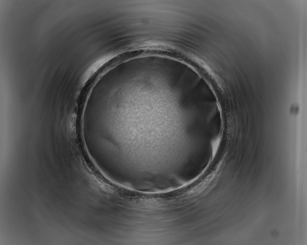 X0000102011066200807251303