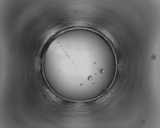 X0000102011067200807251303