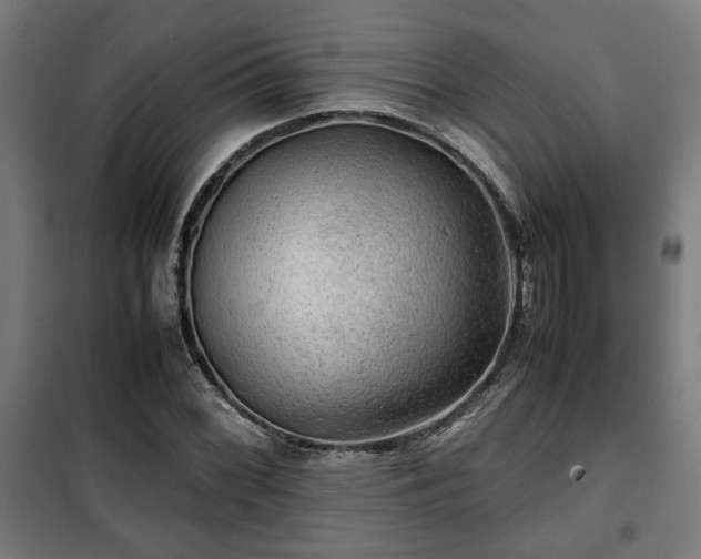 X0000102011068200807251303