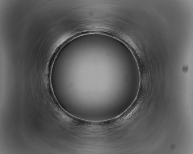 X0000102011071200807251303