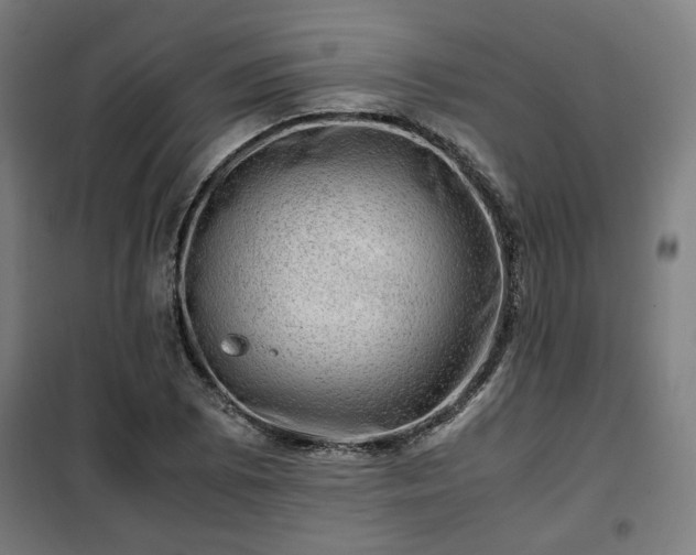 X0000102011073200807251303