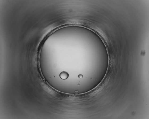 X0000102011075200807251303