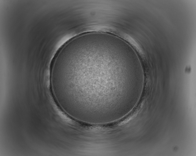 X0000102011079200807251303
