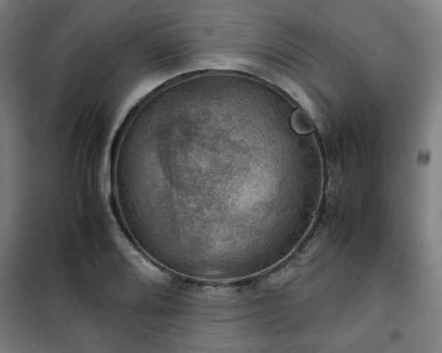 X0000102011080200807251303