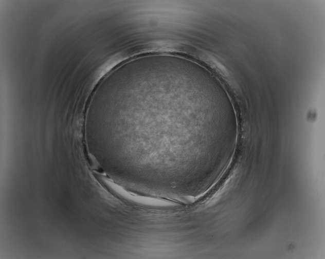 X0000102011081200807251303
