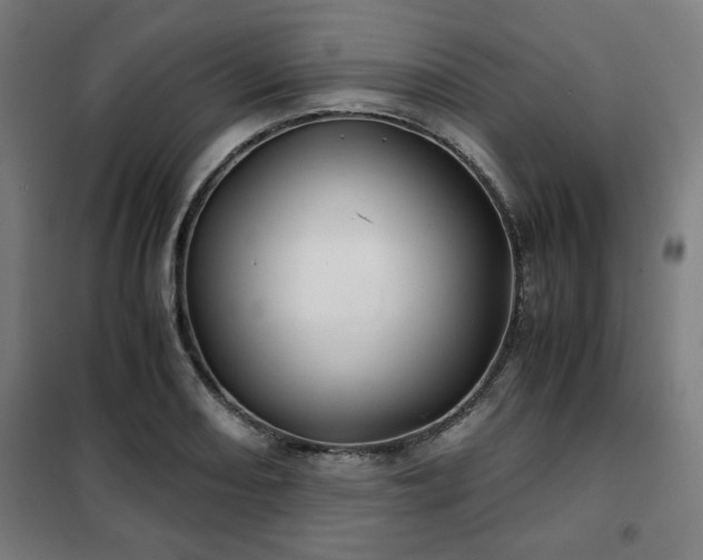 X0000102011082200807251303