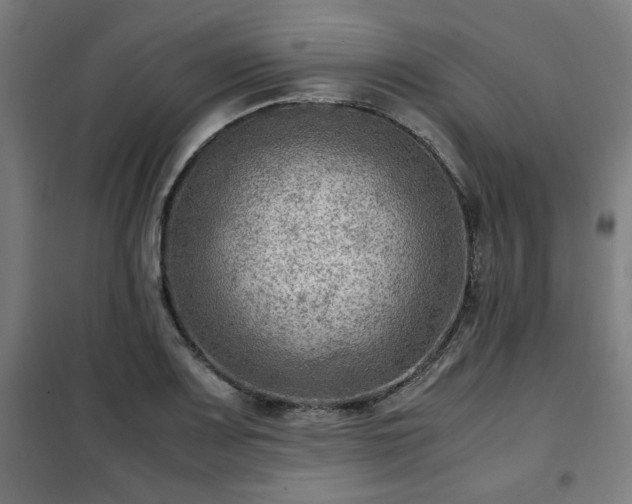 X0000102011083200807251303