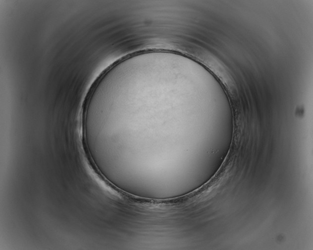 X0000102011084200807251303