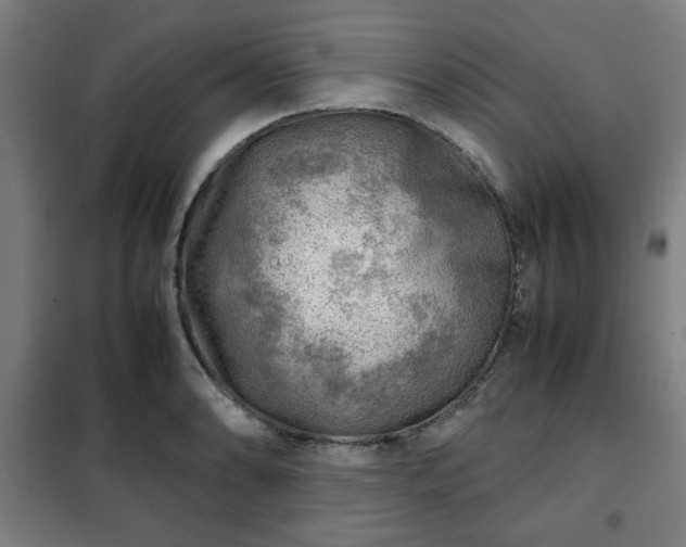 X0000102011086200807251303