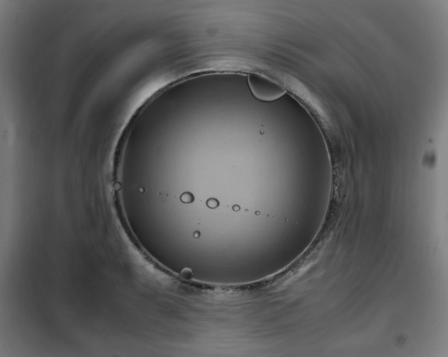X0000102011087200807251303