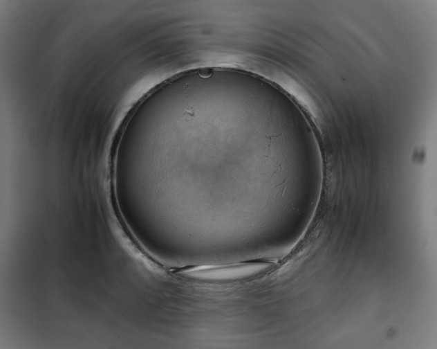 X0000102011088200807251303