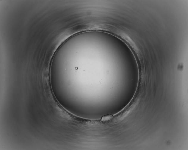 X0000102011089200807251303