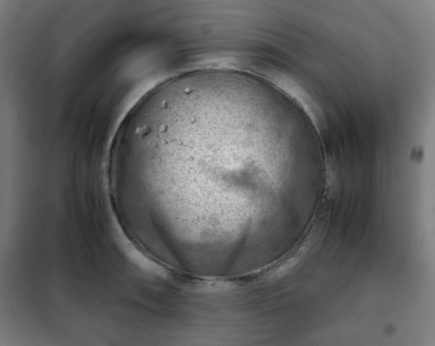 X0000102011090200807251303