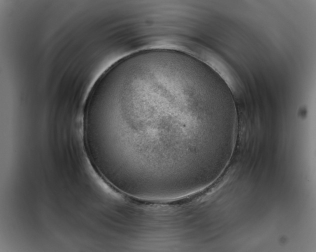 X0000102011092200807251303