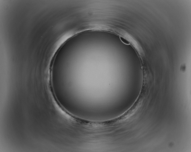 X0000102011095200807251303