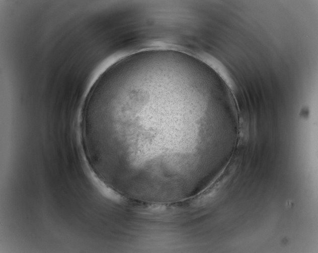 X0000102011098200807251303
