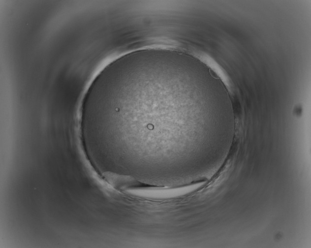 X0000102011099200807251303