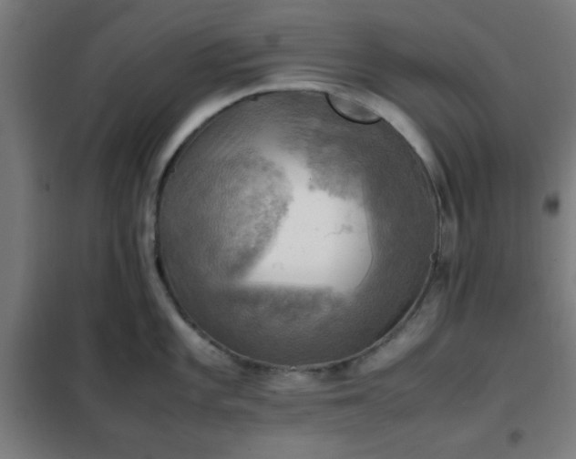 X0000102011101200807251302