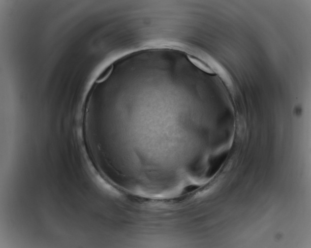 X0000102011102200807251302