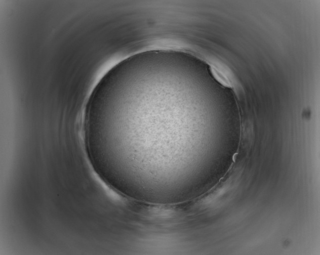 X0000102011103200807251302