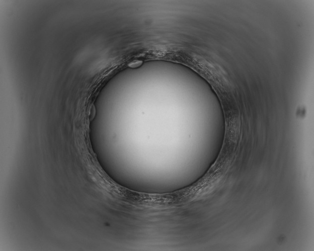 X0000102011105200807251302