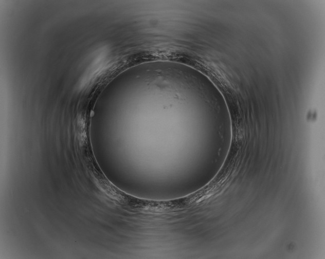 X0000102011106200807251302