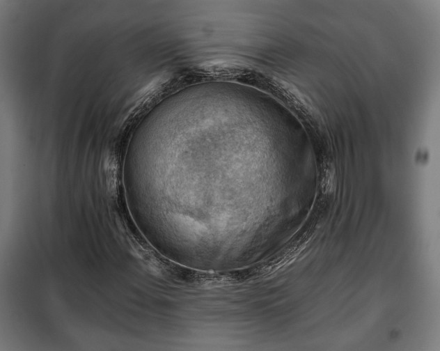 X0000102011108200807251302
