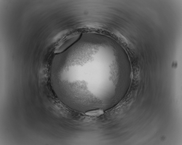 X0000102011110200807251302