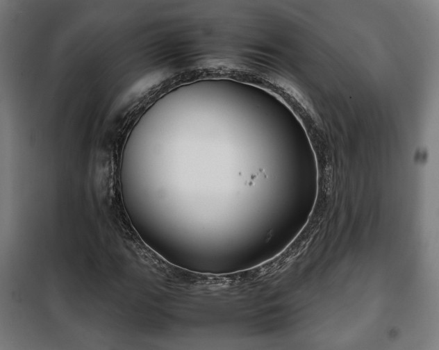 X0000102011111200807251302