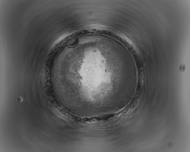 X0000102011112200807251302