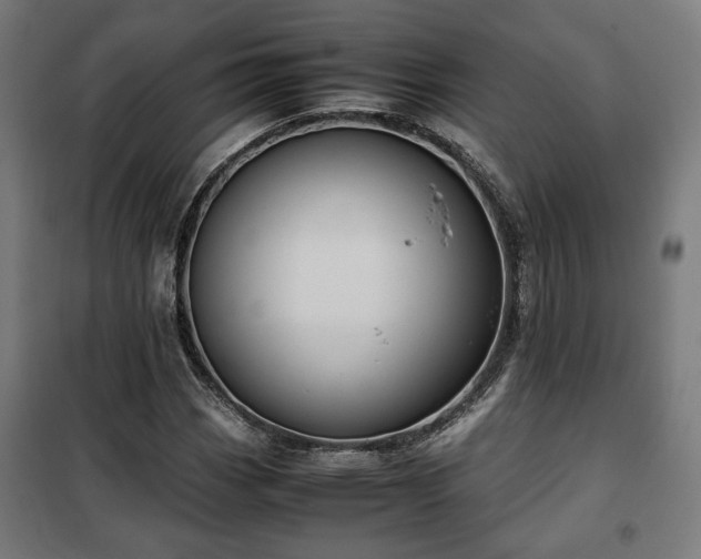 X0000102011113200807251302