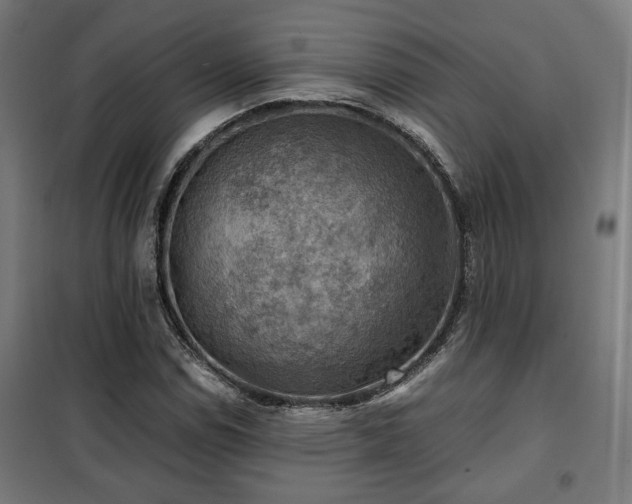 X0000102011114200807251302