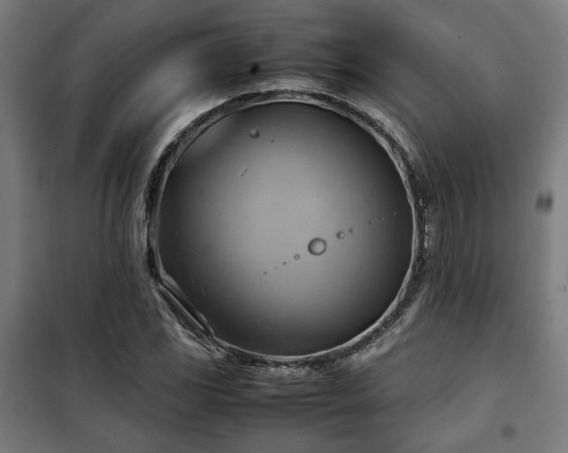 X0000102011117200807251302