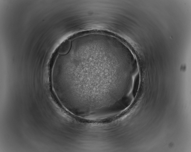 X0000102011118200807251302