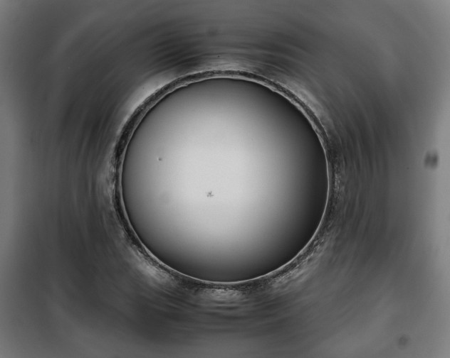 X0000102011119200807251302