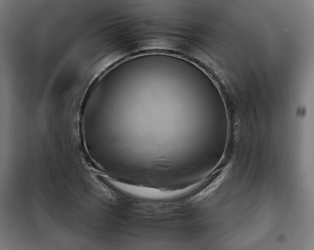 X0000102011121200807251302