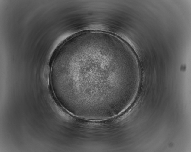 X0000102011123200807251302