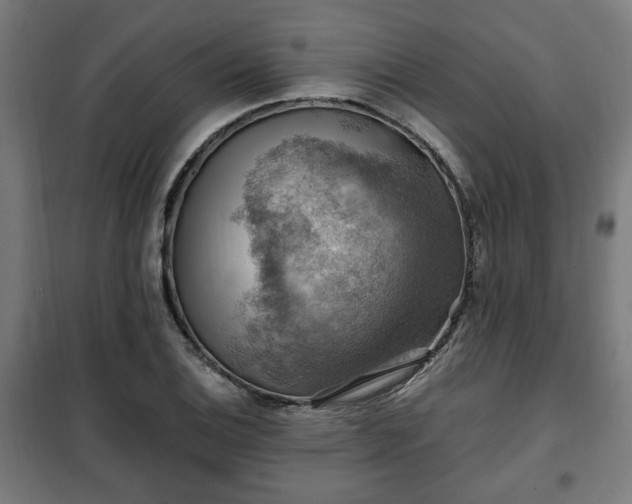 X0000102011124200807251302