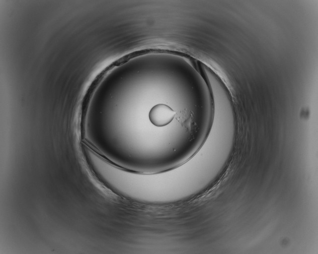 X0000102011128200807251302