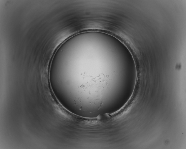 X0000102011129200807251302