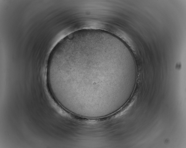 X0000102011130200807251302