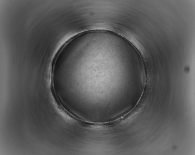 X0000102011132200807251302