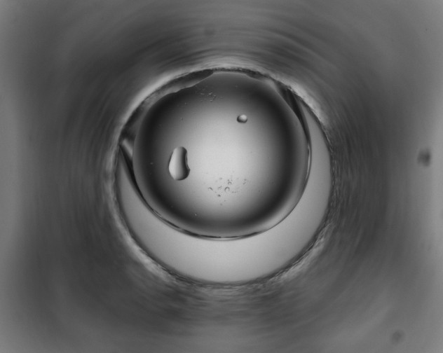 X0000102011134200807251302